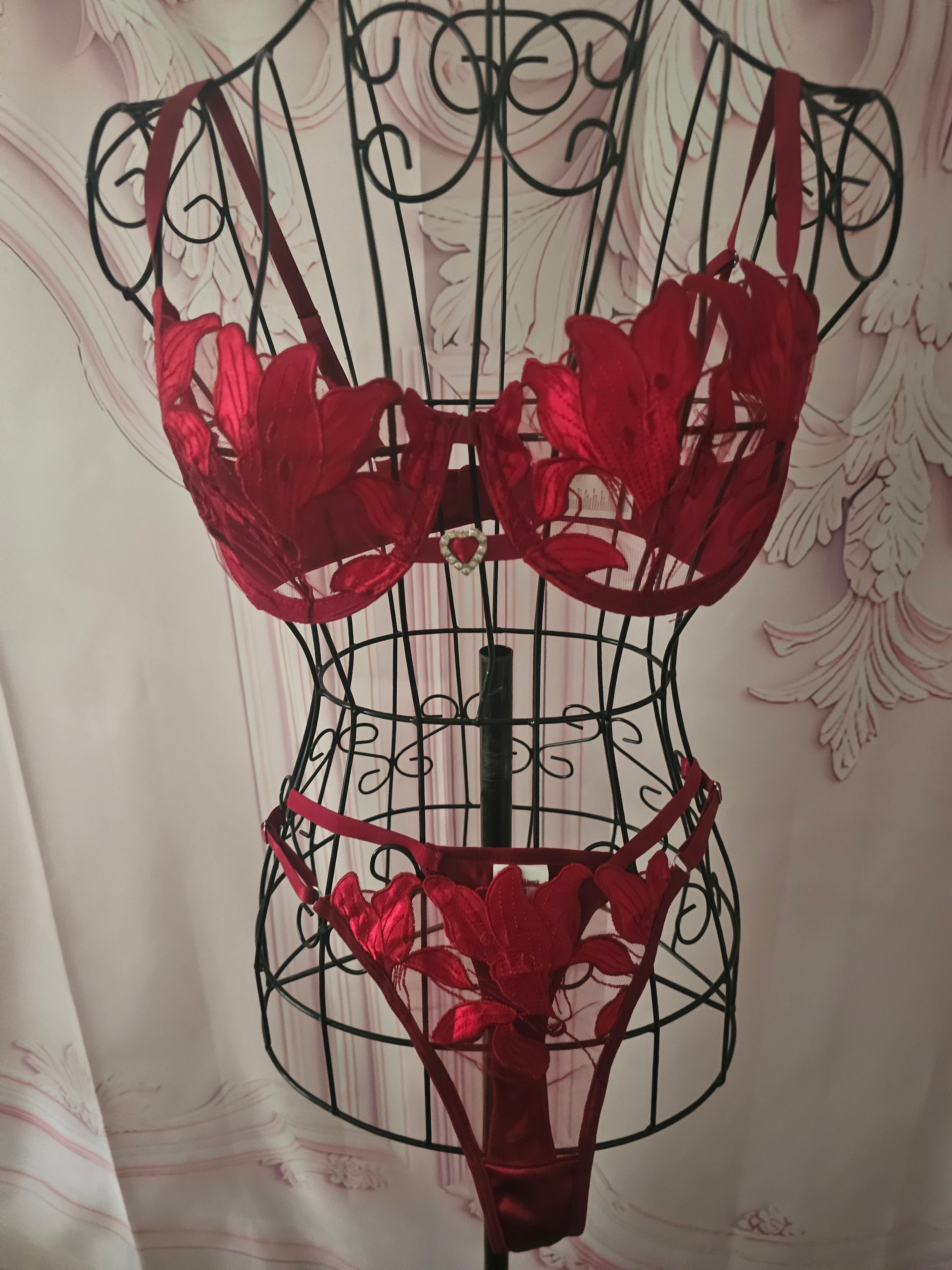 Ladies Red Lacy Underwear Set