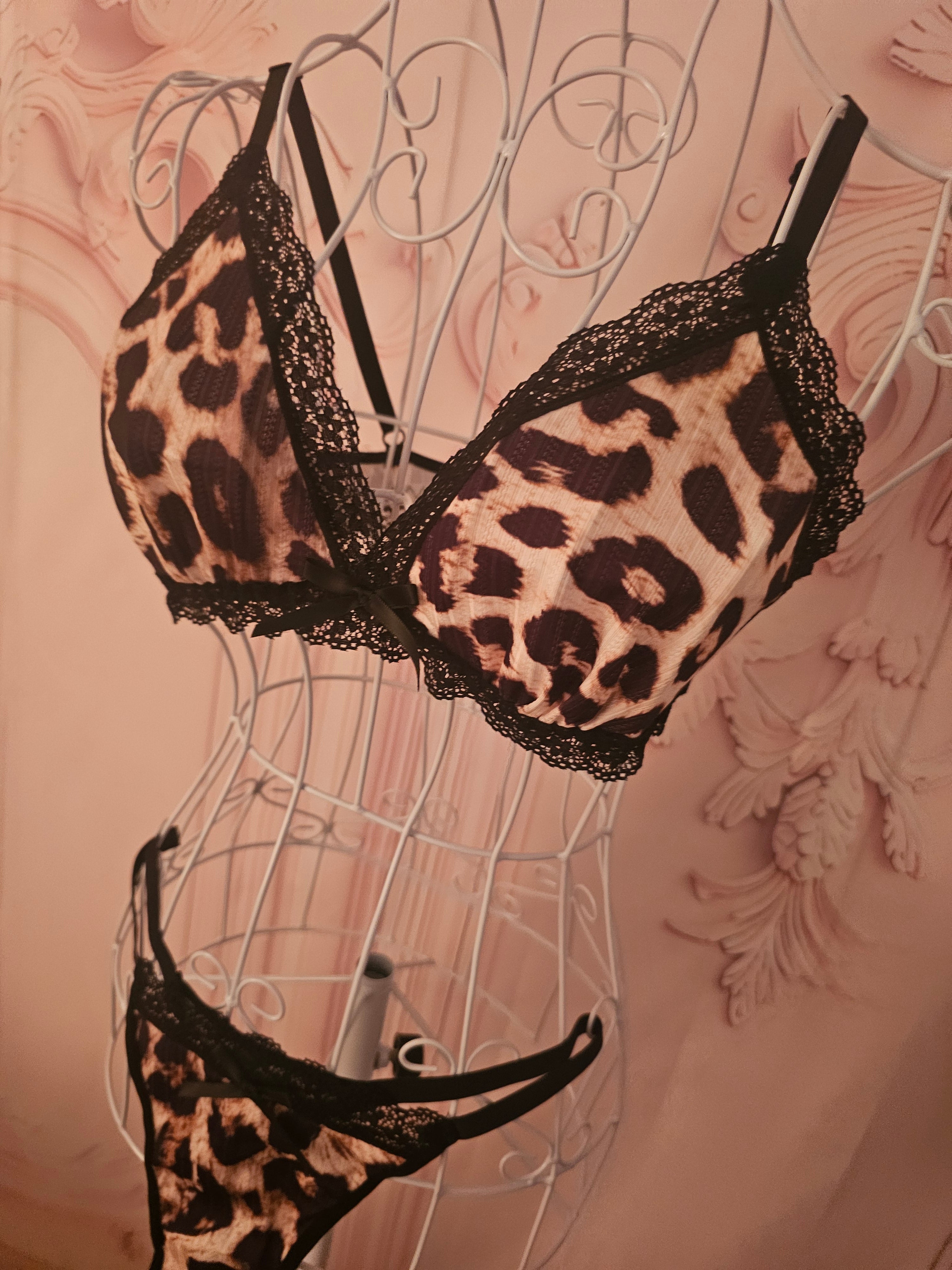 Ladies Leopard Print Underwear Set