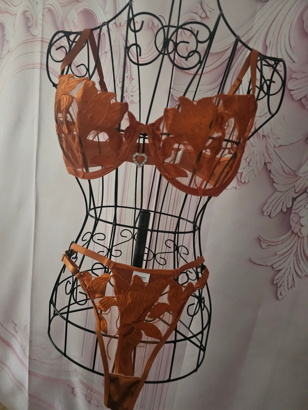Ladies Burnt Orange Underwear Set