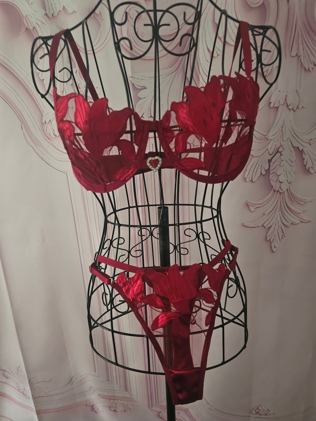 Ladies Red Lacy Underwear Set