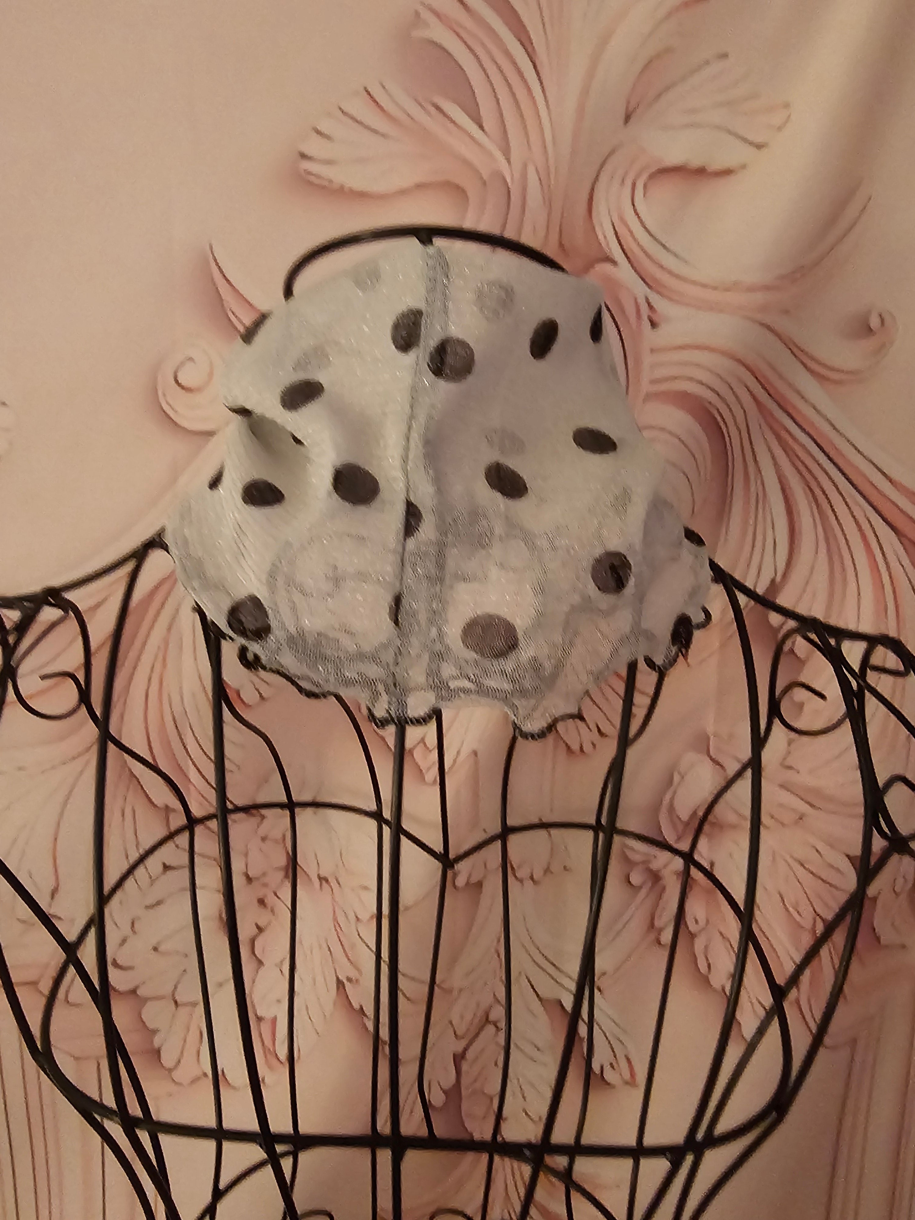 Ladies fancy Black and White Polka Dot Neck Scarf