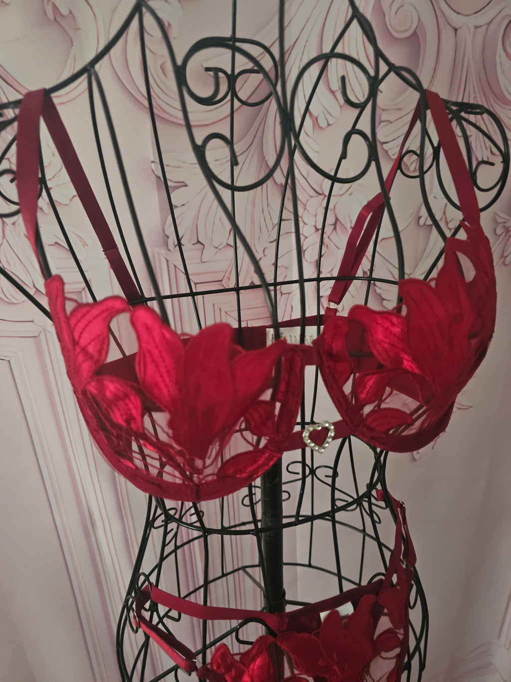 Ladies Red Lacy Underwear Set