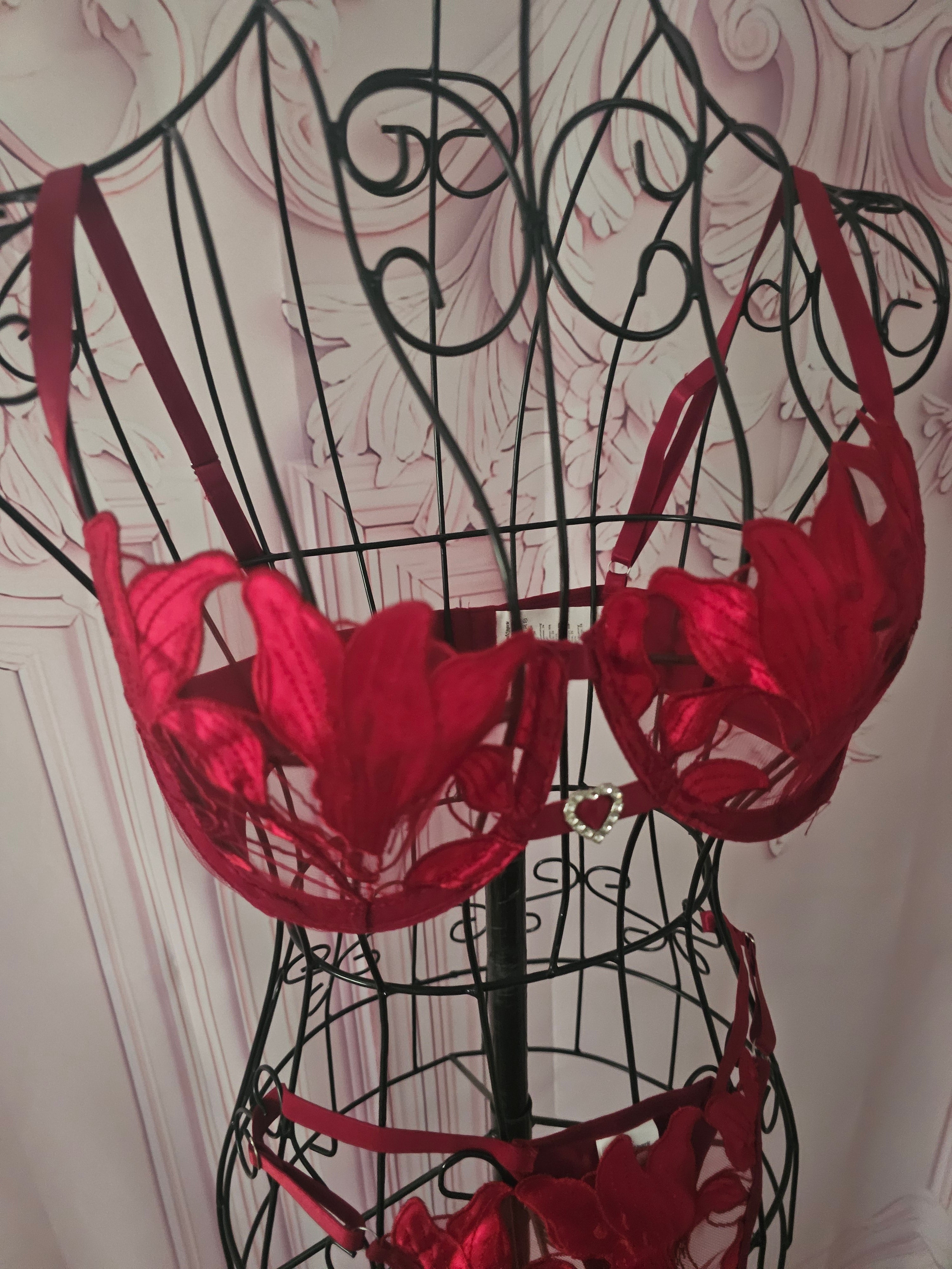 Ladies Red Lacy Underwear Set