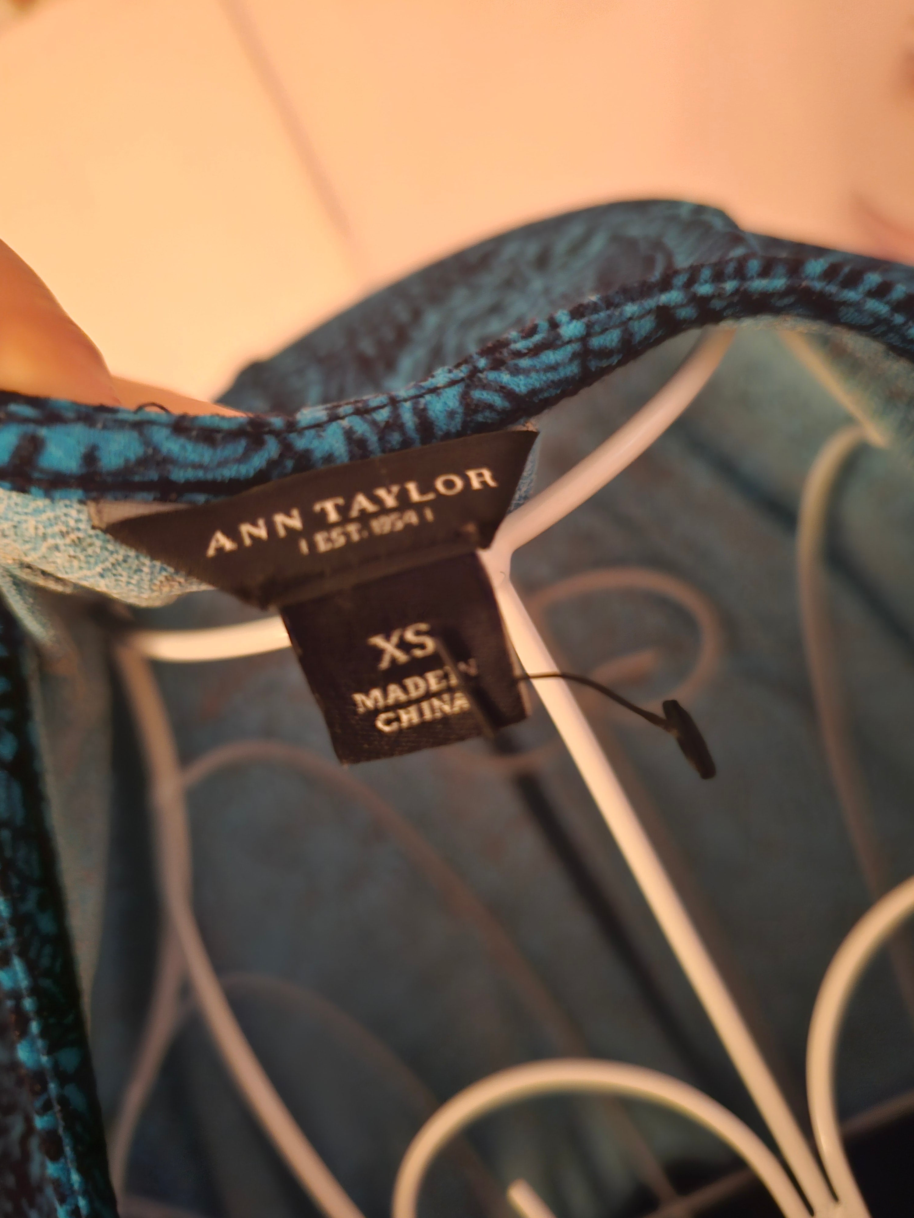 Ladies Ann Taylor Fitted Dress