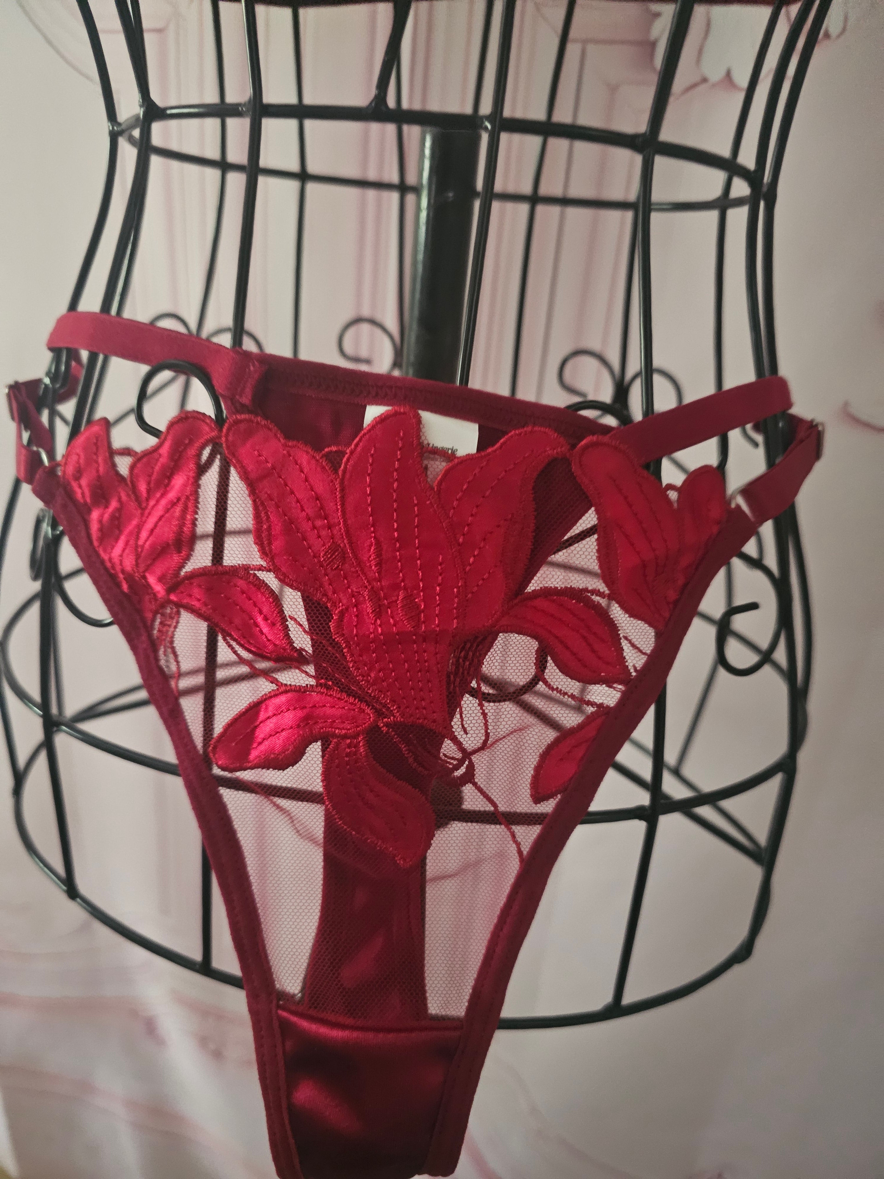 Ladies Red Lacy Underwear Set