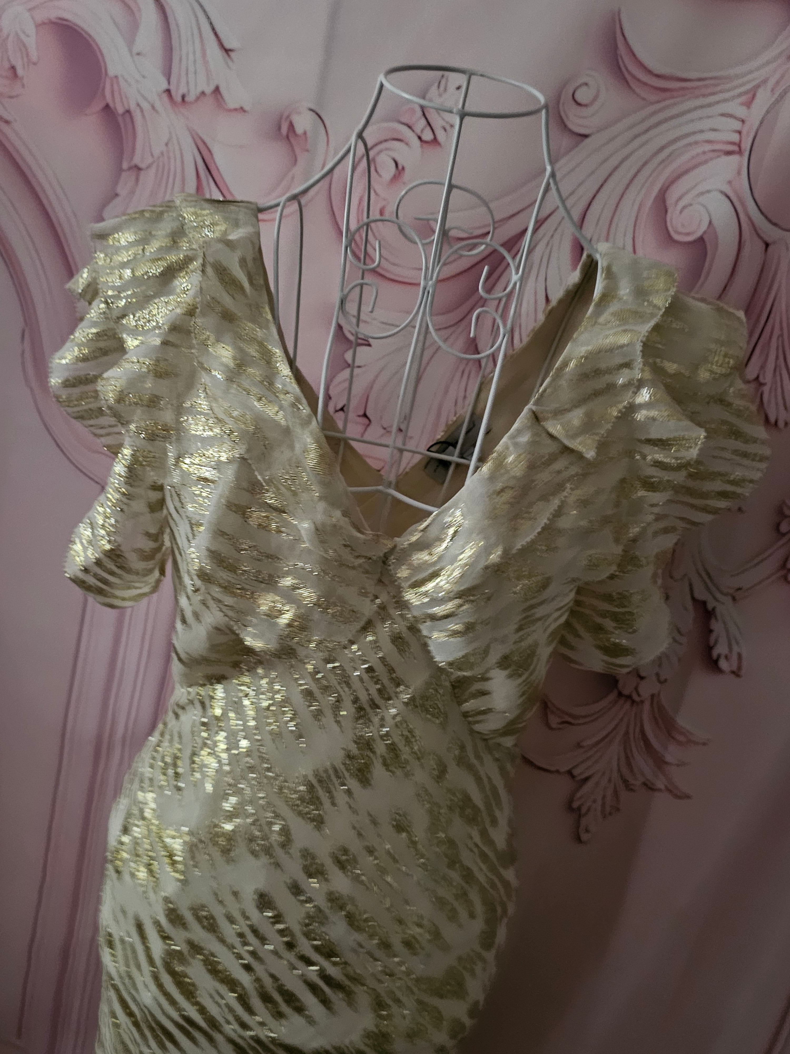 Ladies Gold Shimmering Never Fully Dressed Jacquered Evening Gown