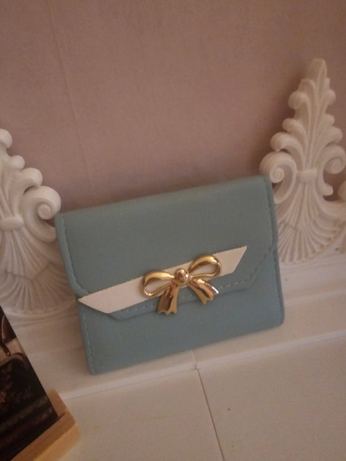 Ladies Baby Blue Classy Purse